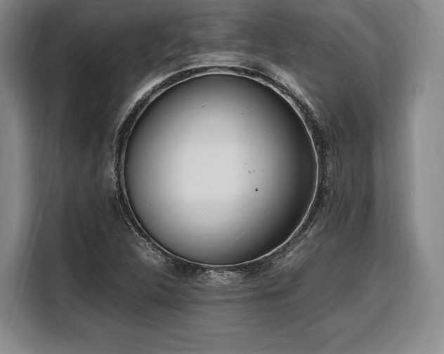 X0000108481312200904091429