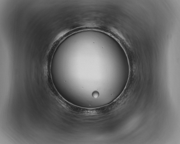 X0000108481315200904091429