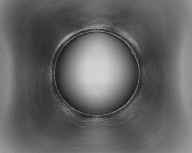 X0000108481316200904091429