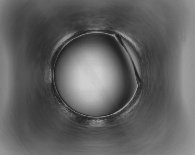X0000108481317200904091429