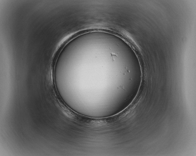 X0000108481320200904091429