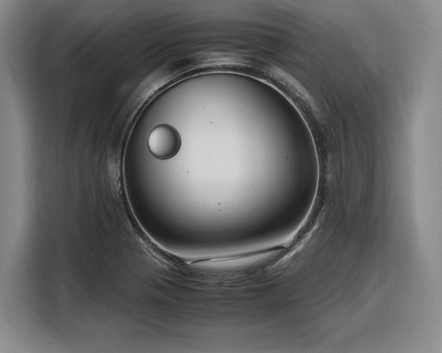 X0000108481321200904091429