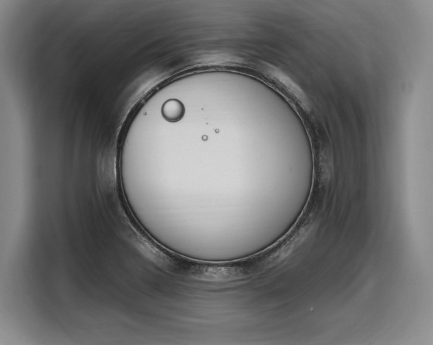 X0000108481322200904091429