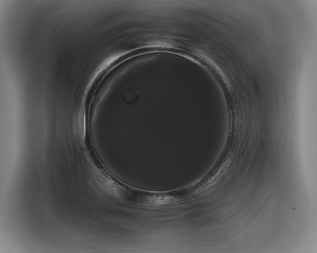 X0000108481323200904091429