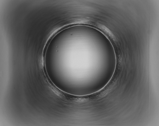 X0000108481324200904091429