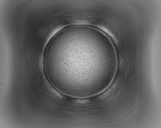 X0000108481325200904091429