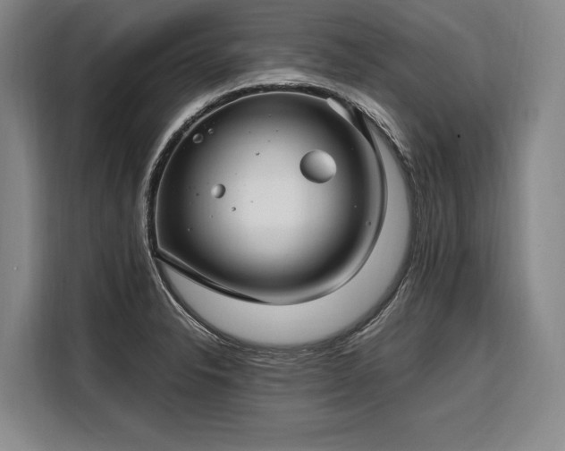 X0000108481326200904091429