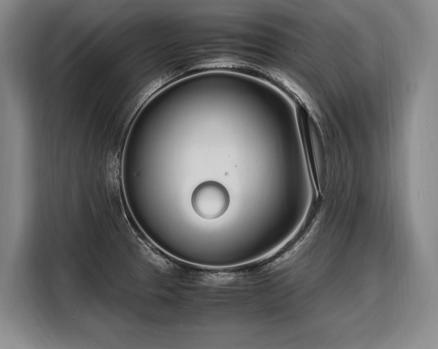 X0000108481329200904091429