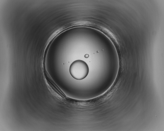 X0000108481330200904091429