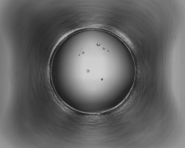 X0000108481332200904091429