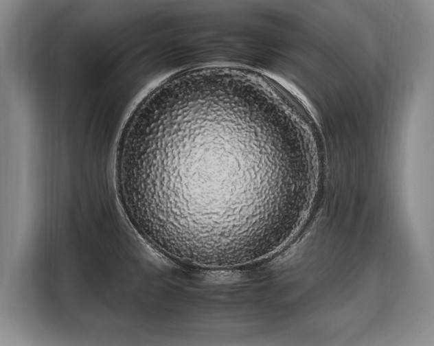 X0000108481333200904091429