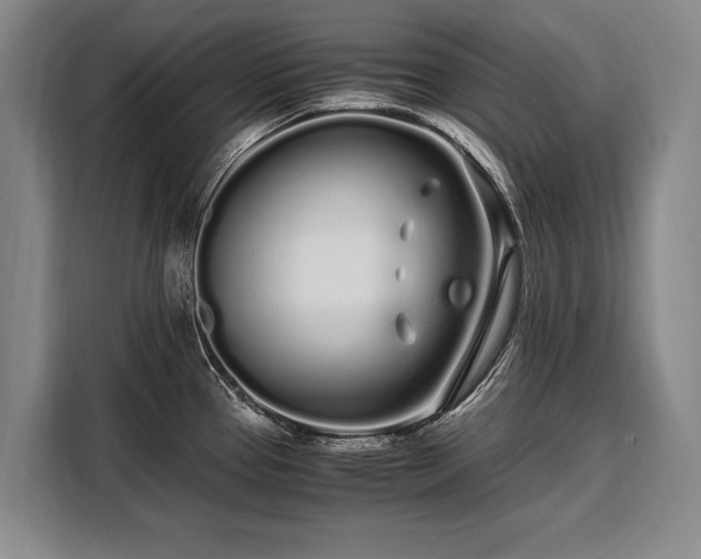 X0000108481337200904091429
