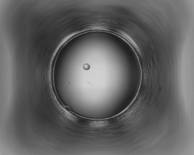 X0000108481339200904091429