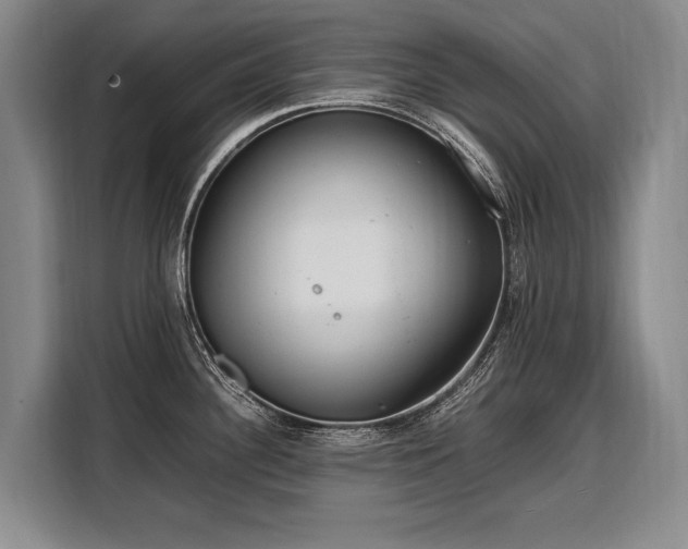 X0000108481340200904091429
