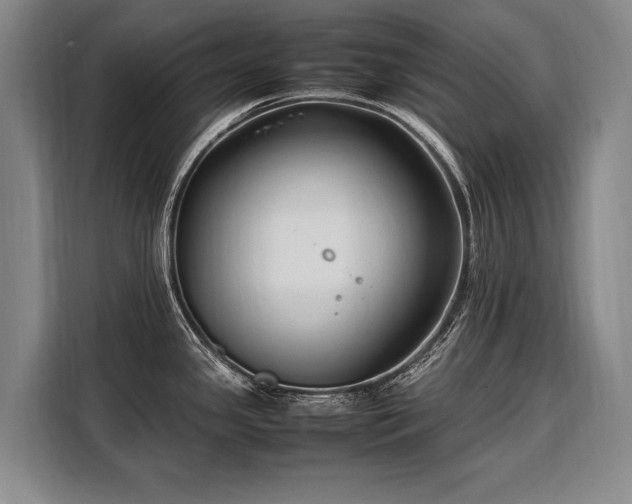 X0000108481341200904091429