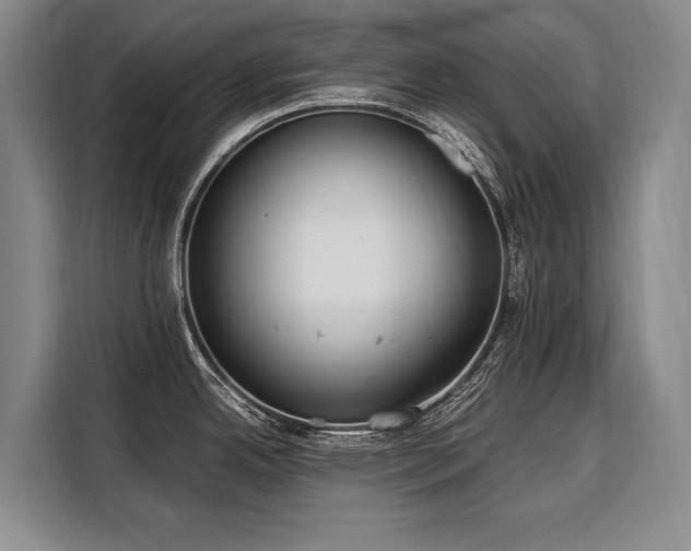 X0000108481342200904091430