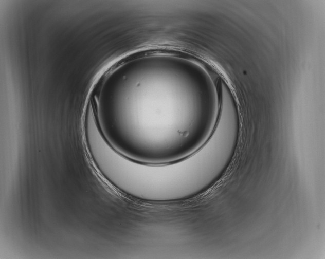 X0000108481344200904091430