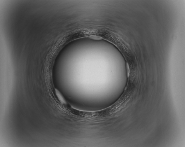 X0000108481345200904091429