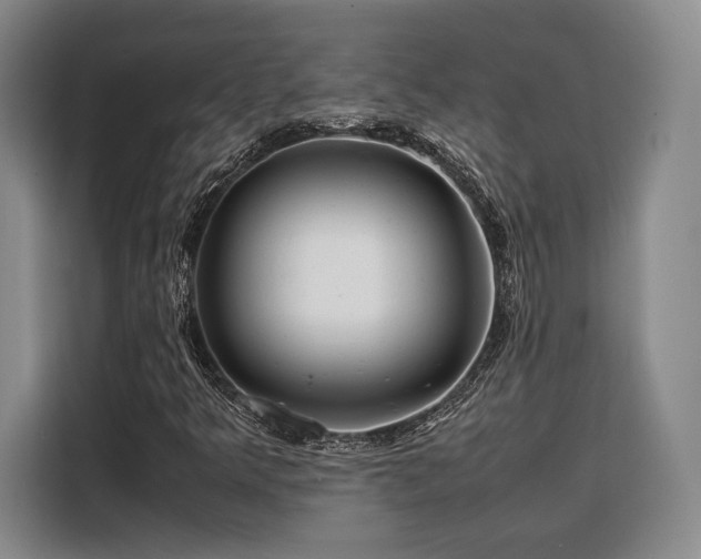 X0000108481349200904091429