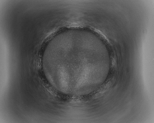 X0000108481350200904091429