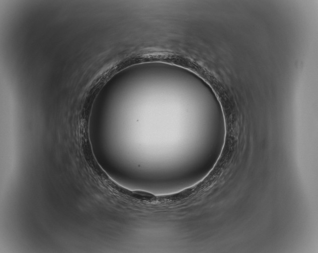 X0000108481351200904091429