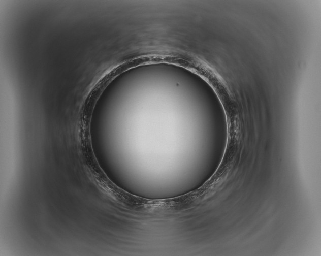 X0000108481352200904091429