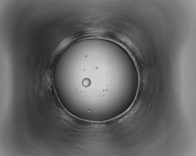 X0000108481354200904091429