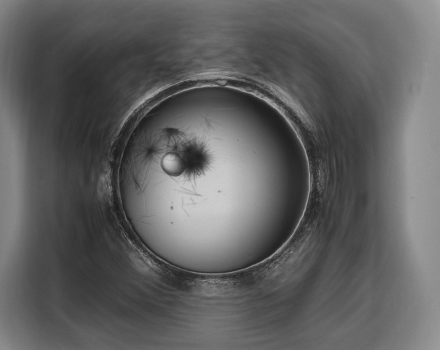 X0000108481356200904091429