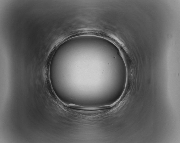 X0000108481357200904091429