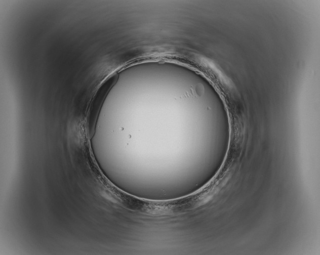 X0000108481361200904091429