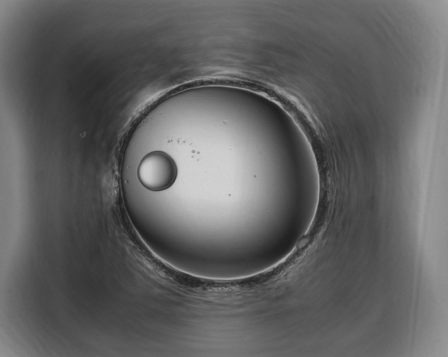 X0000108481363200904091429