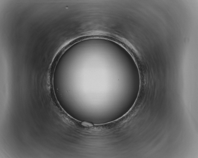 X0000108481364200904091429