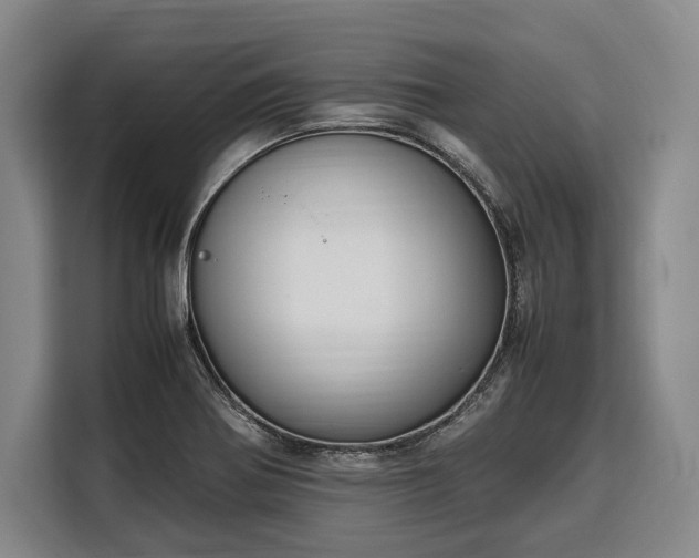 X0000108481370200904091429