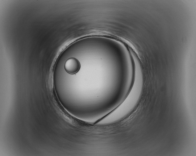 X0000108481371200904091429
