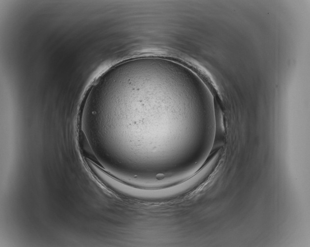 X0000108481373200904091429