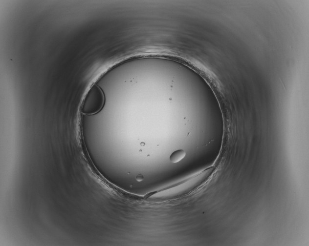 X0000108481374200904091429