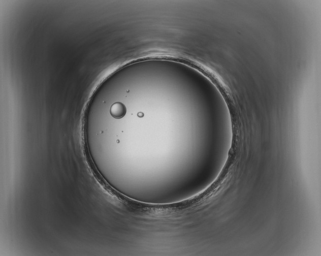 X0000108481375200904091429