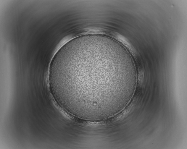 X0000108481378200904091428