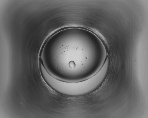 X0000108481380200904091428