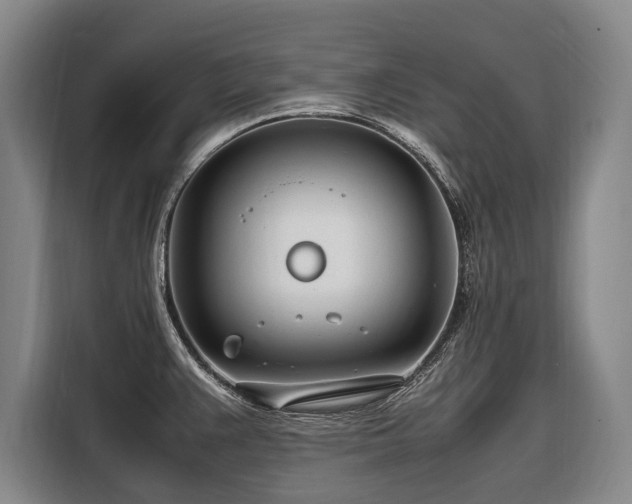 X0000108481383200904091428