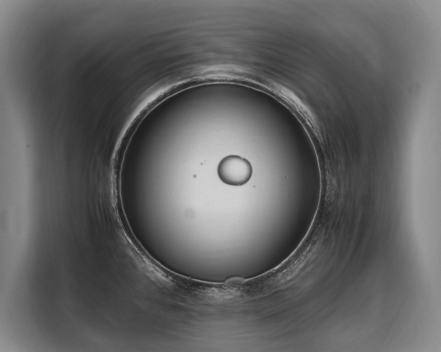 X0000108481384200904091428