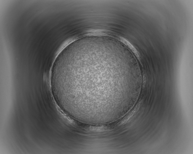 X0000108481386200904091428