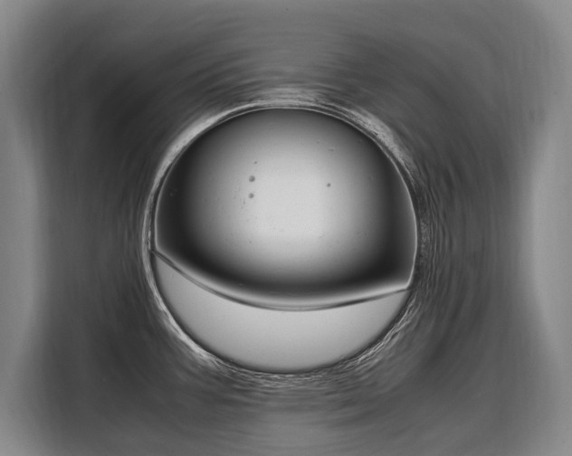 X0000108481387200904091428