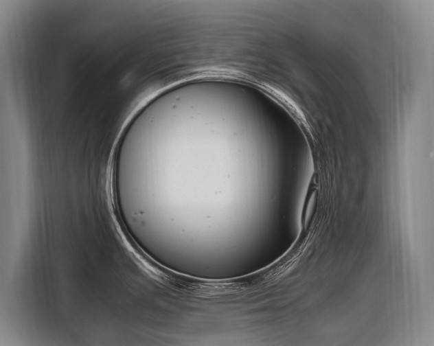 X0000108481391200904091428