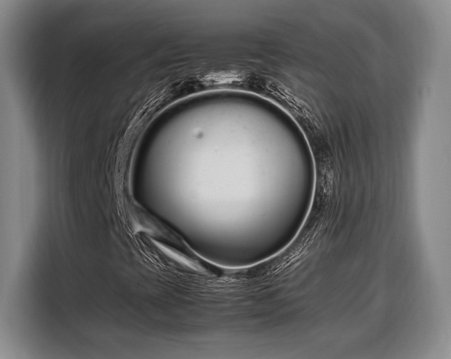X0000108481393200904091428