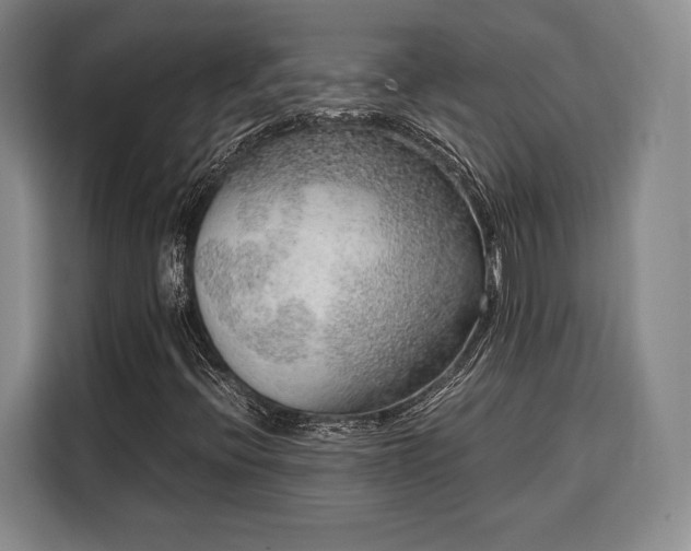 X0000108481396200904091428