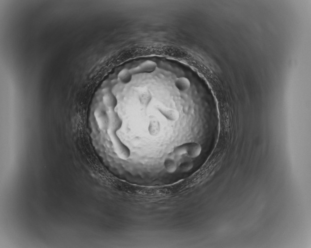 X0000108481397200904091428
