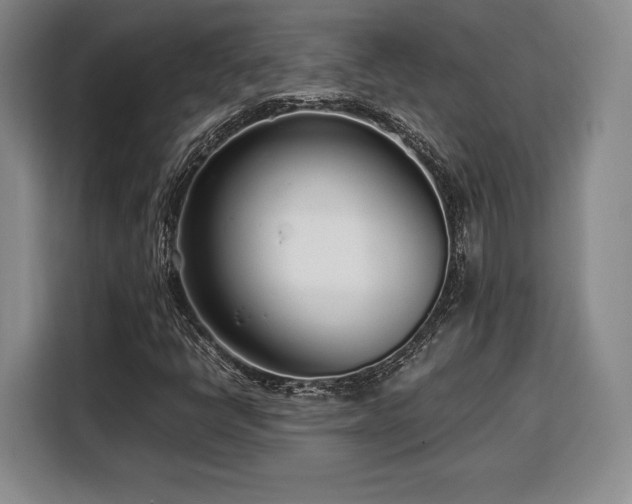 X0000108481398200904091428