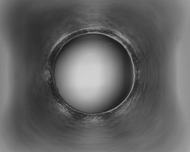 X0000108481400200904091428