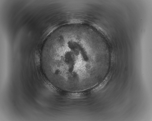 X0000108481401200904091428